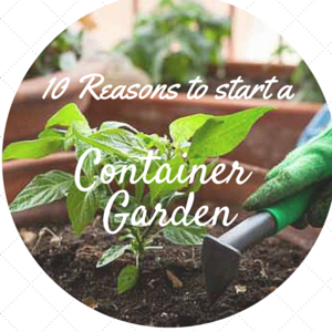 10 Reasons to Grow Your Own Food in a Container Garden