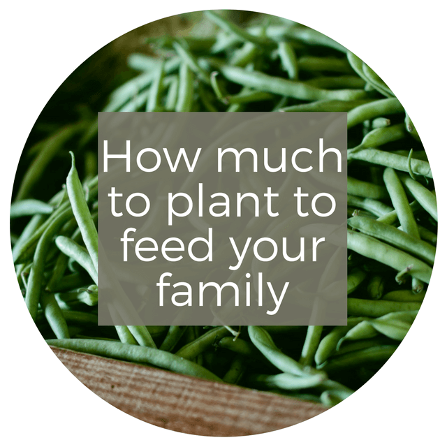 How Much To Plant To Feed Your Family